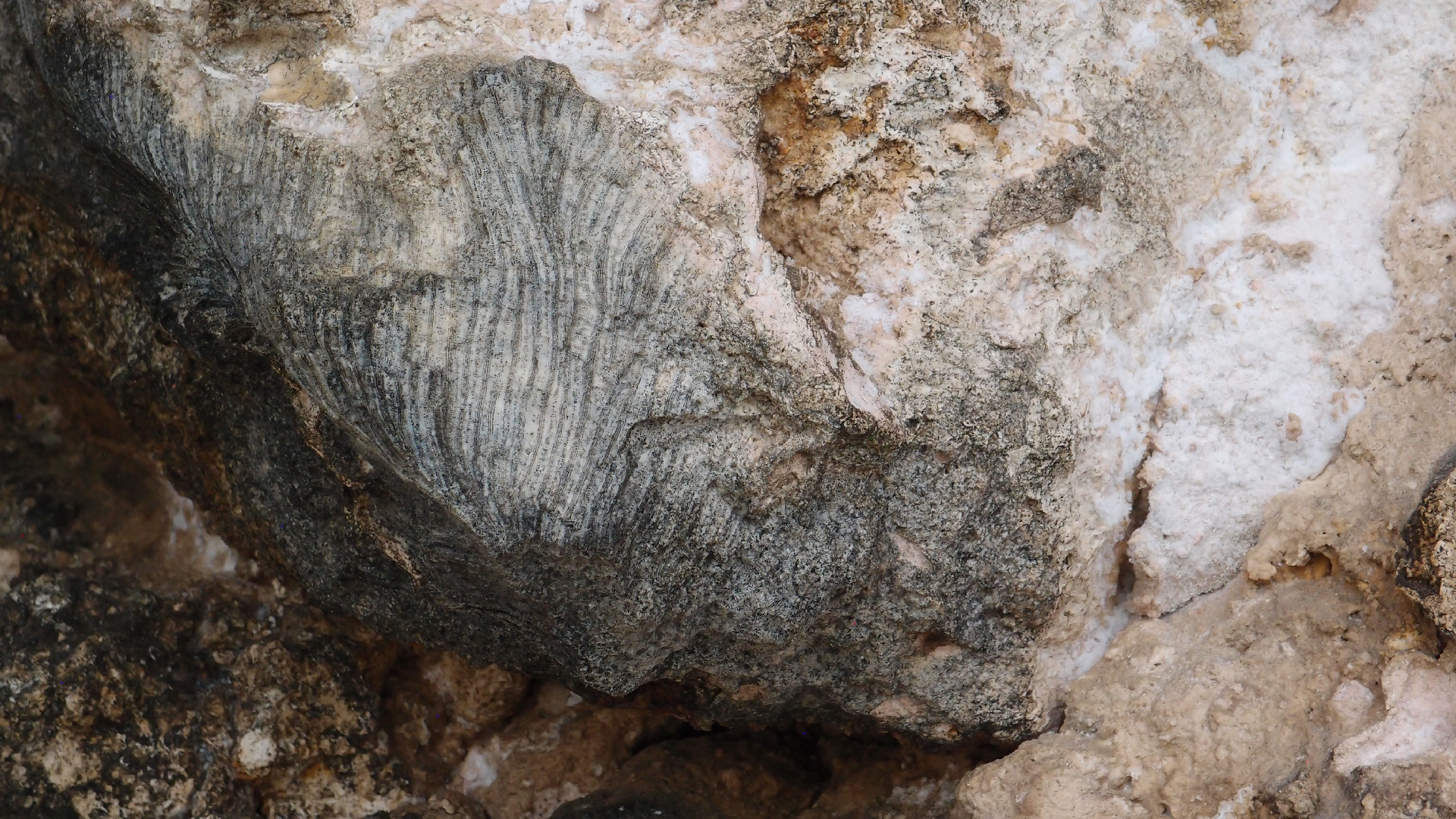 2022-04-25 Cas Abao (Foto)