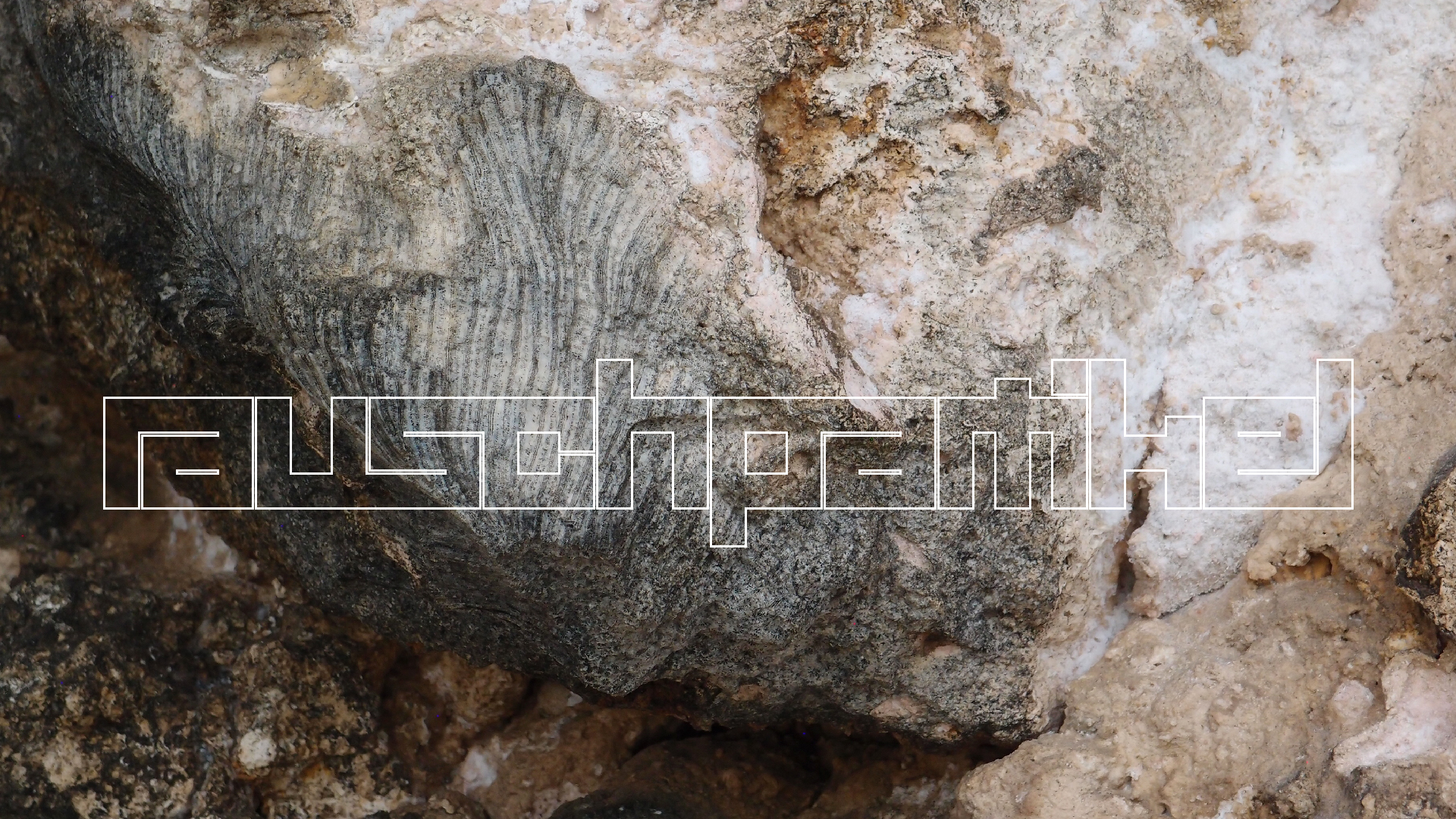 2022-04-25 Cas Abao (Foto)