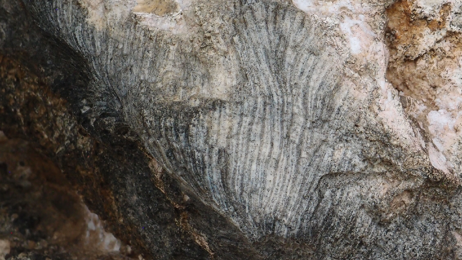 2022-04-25 Cas Abao (Foto)