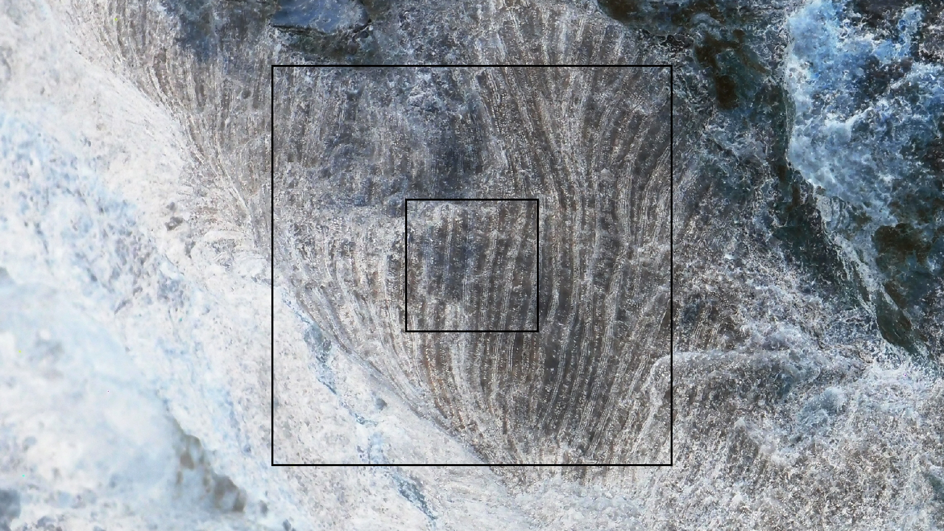 2022-04-25 Cas Abao (Foto)