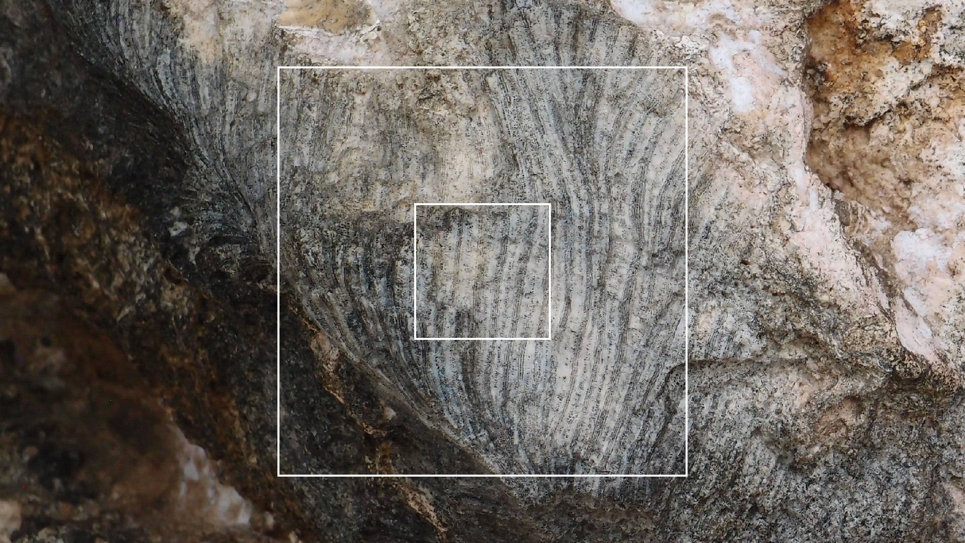 2022-04-25 Cas Abao (Foto)