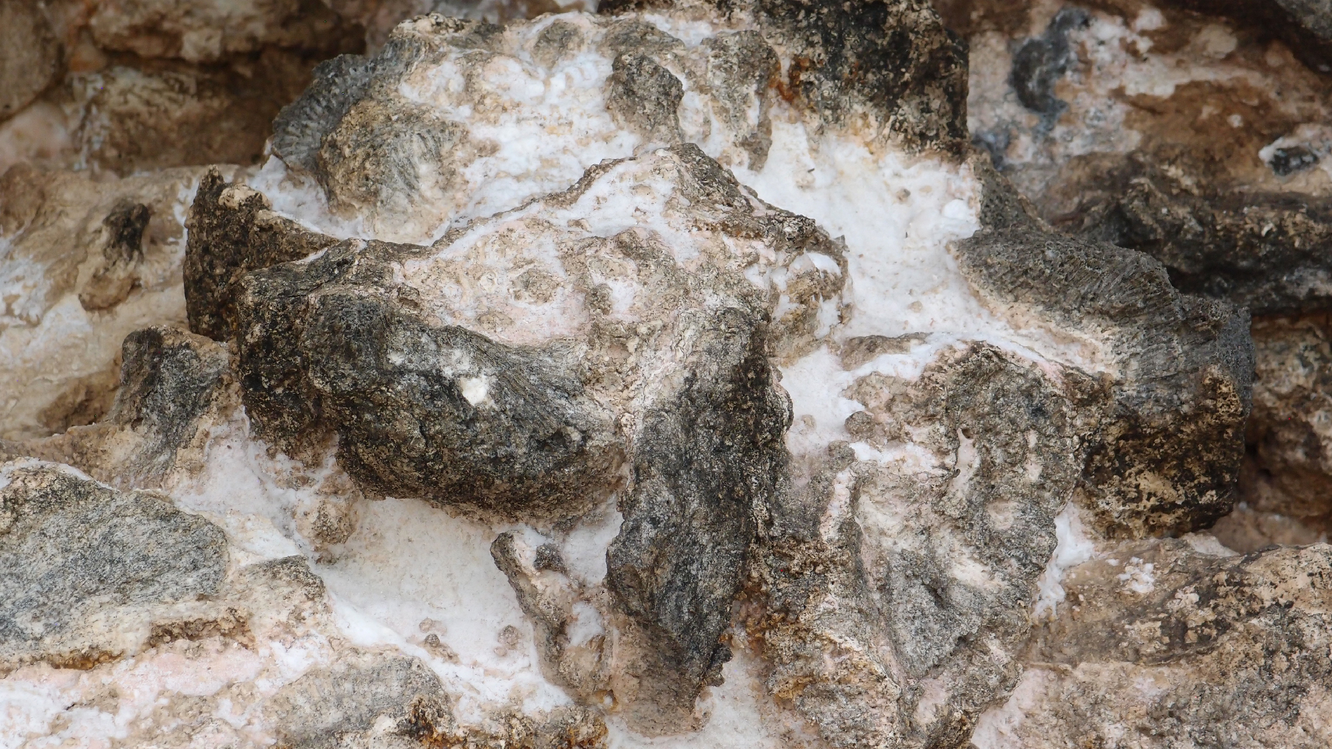 2022-04-25 Cas Abao (Foto)