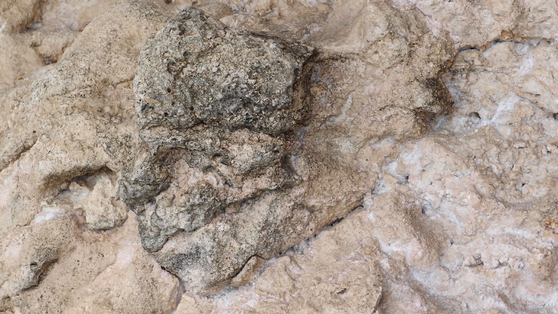 2022-04-25 Cas Abao (Foto)