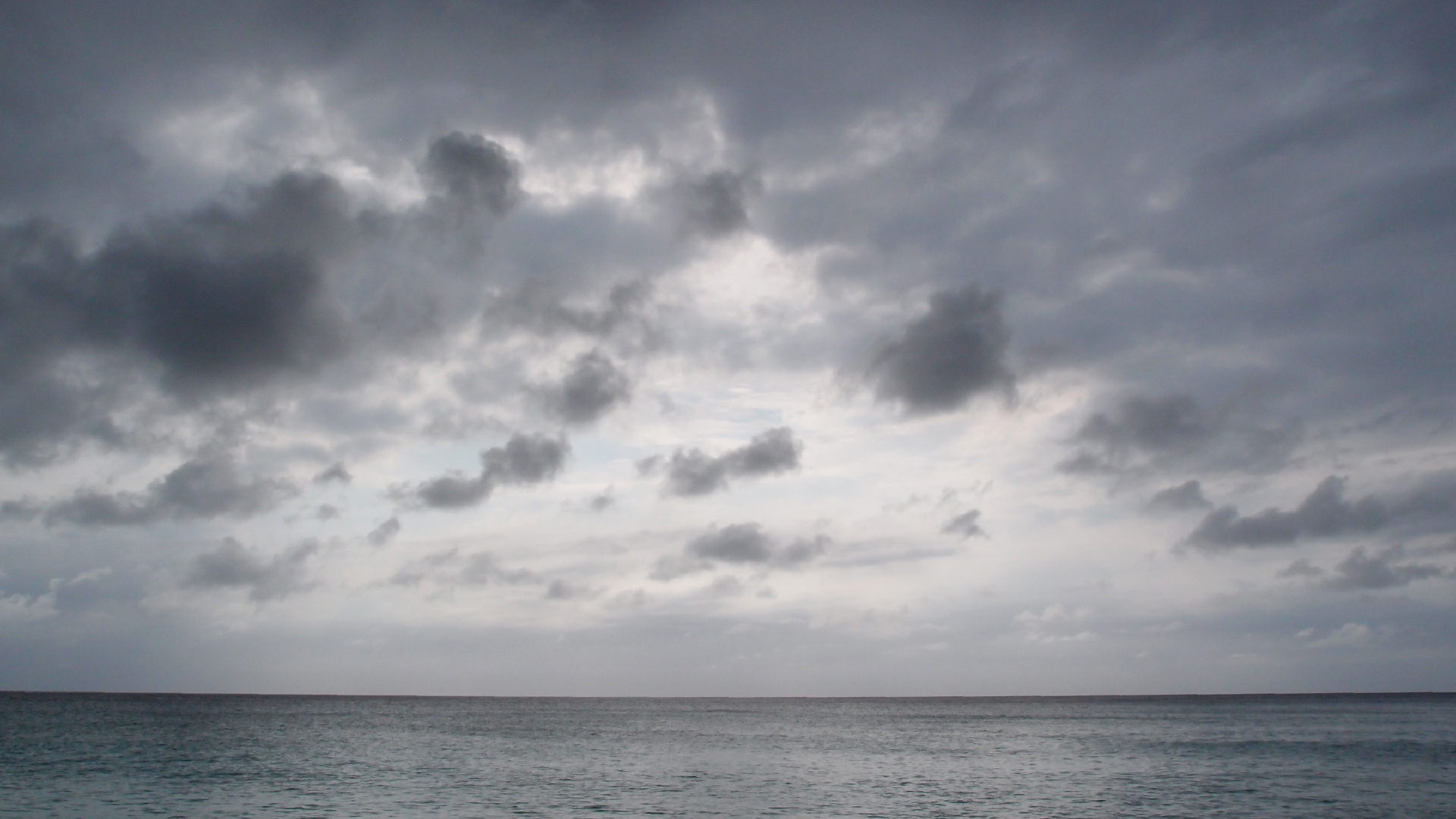 2022-04-25 Chicki Knipp (Foto)