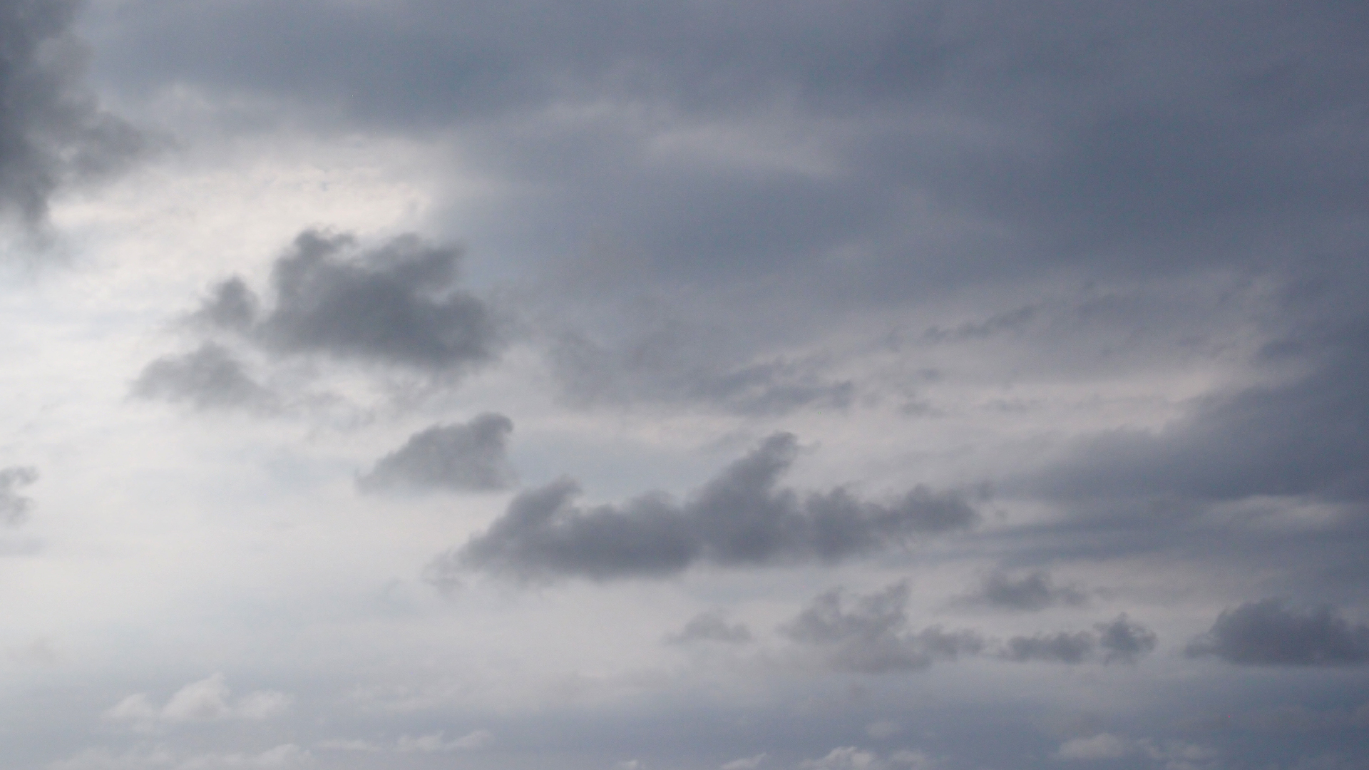 2022-04-25 Chicki Knipp (Foto)