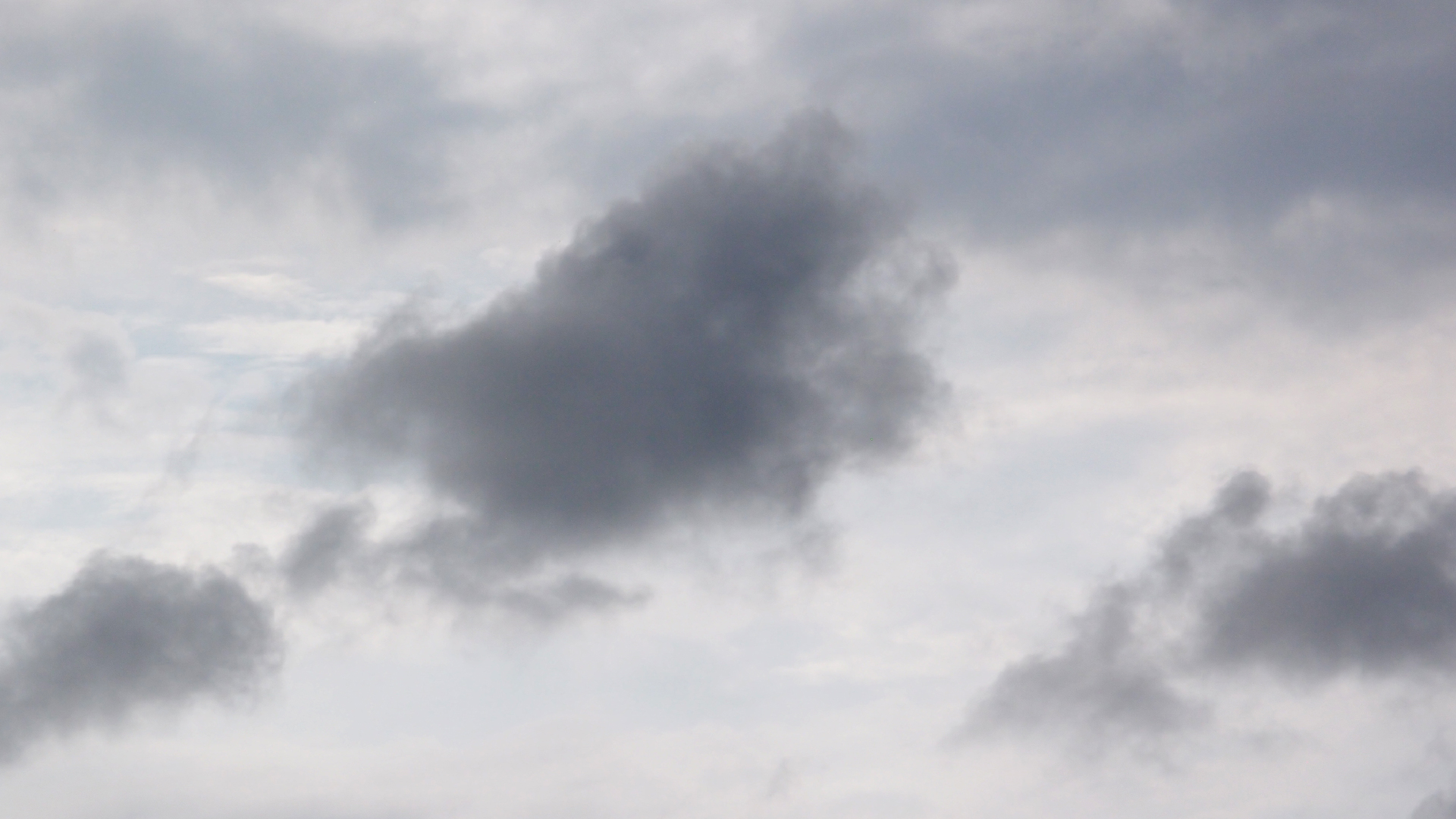 2022-04-25 Chicki Knipp (Foto)