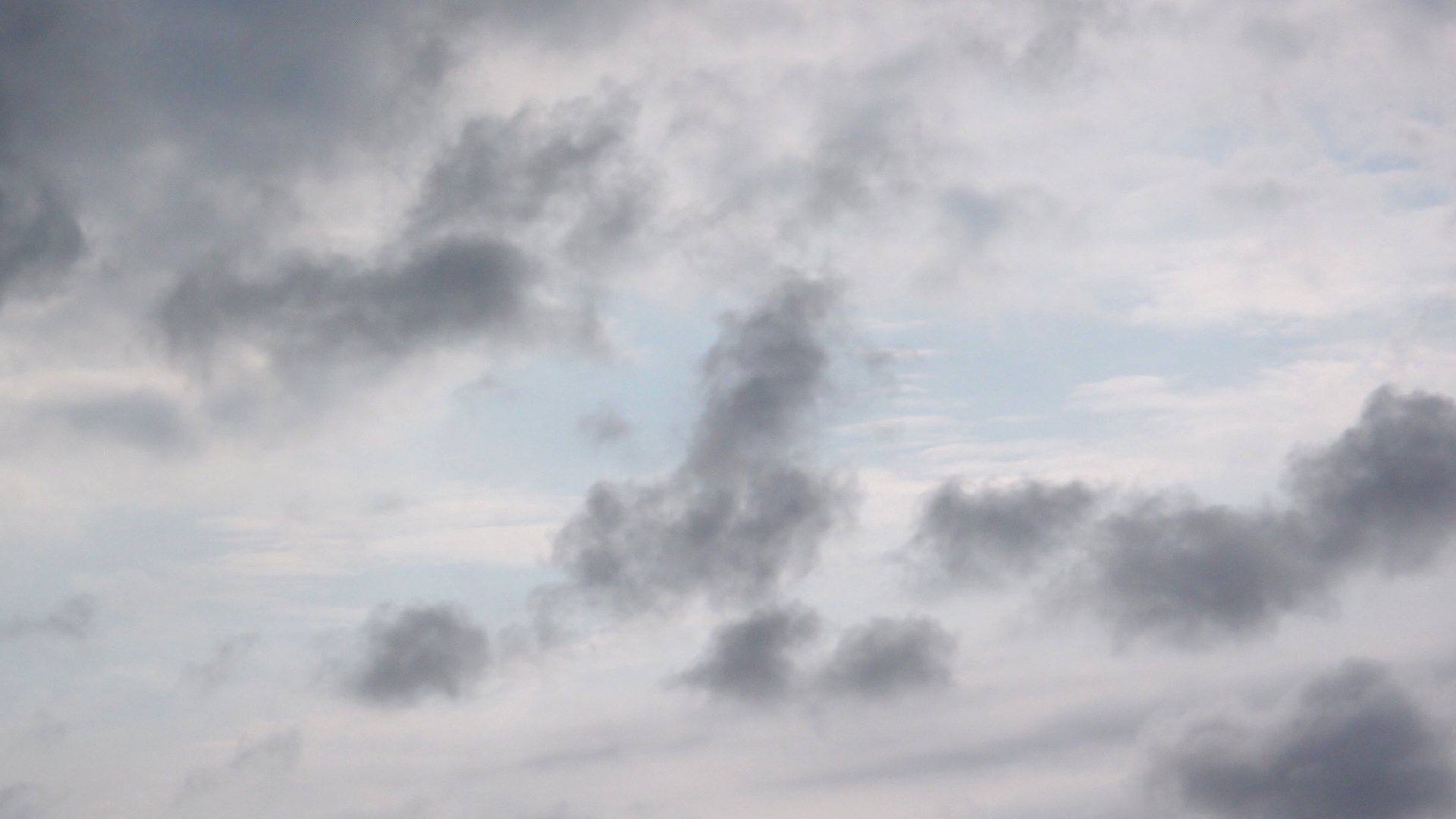 2022-04-25 Chicki Knipp (Foto)