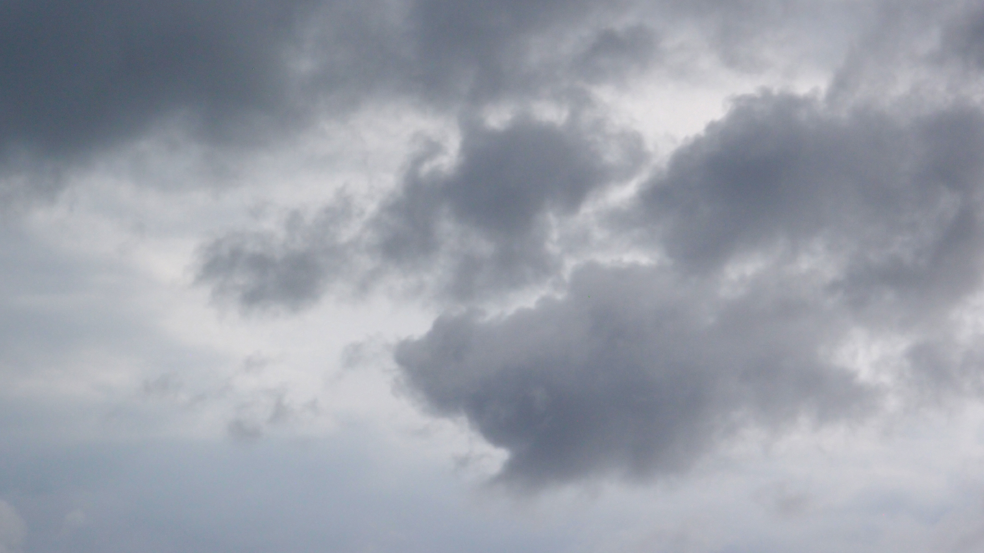 2022-04-25 Chicki Knipp (Foto)