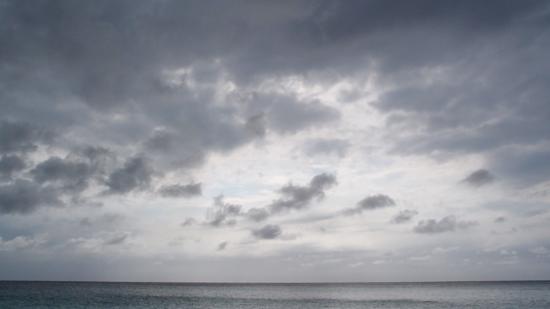 2022-04-25 Chicki Knipp (Foto)