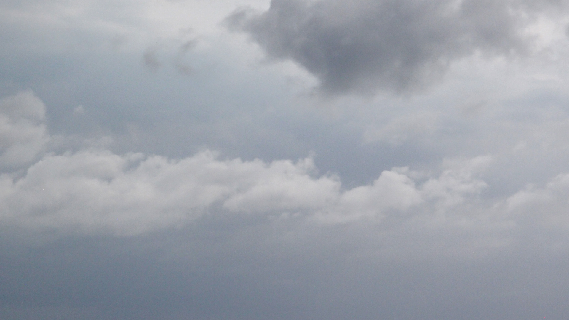 2022-04-25 Chicki Knipp (Foto)