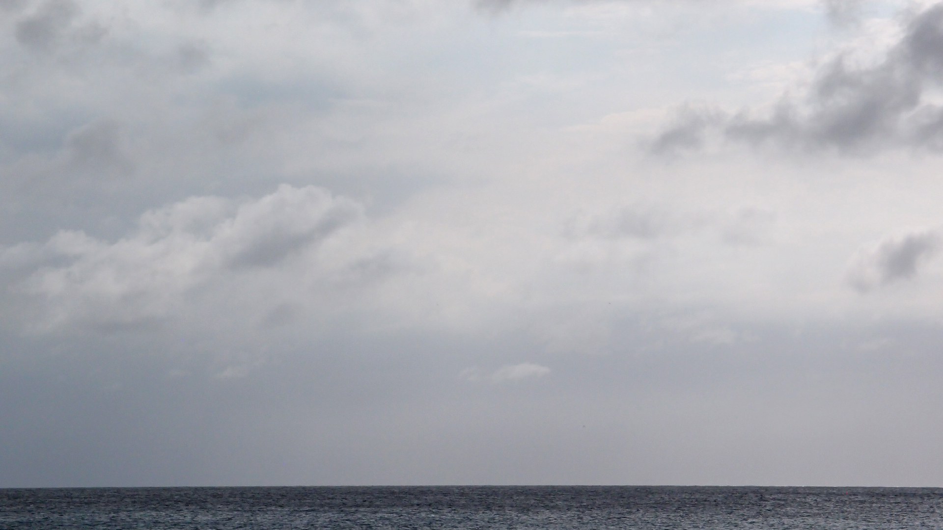 2022-04-25 Chicki Knipp (Foto)