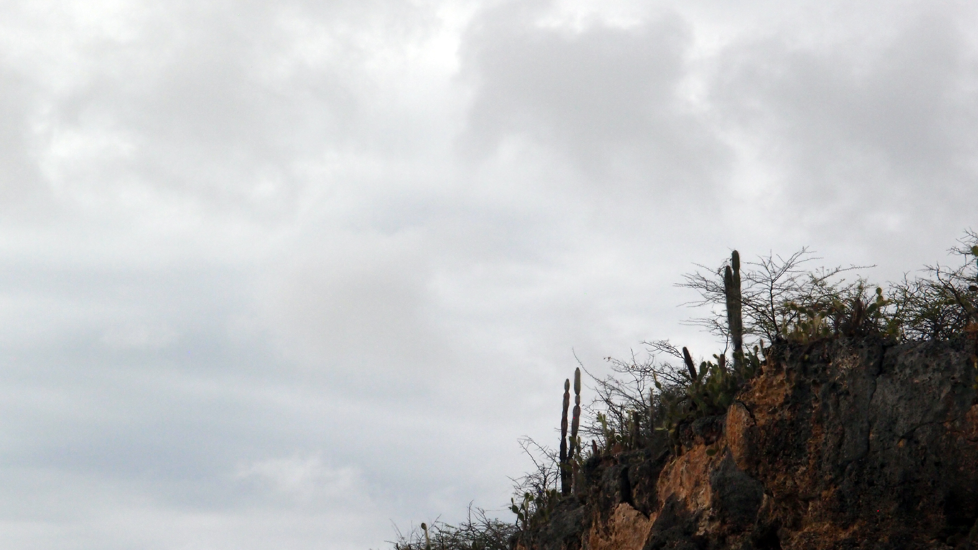 2022-04-25 Chicki Knipp (Foto)