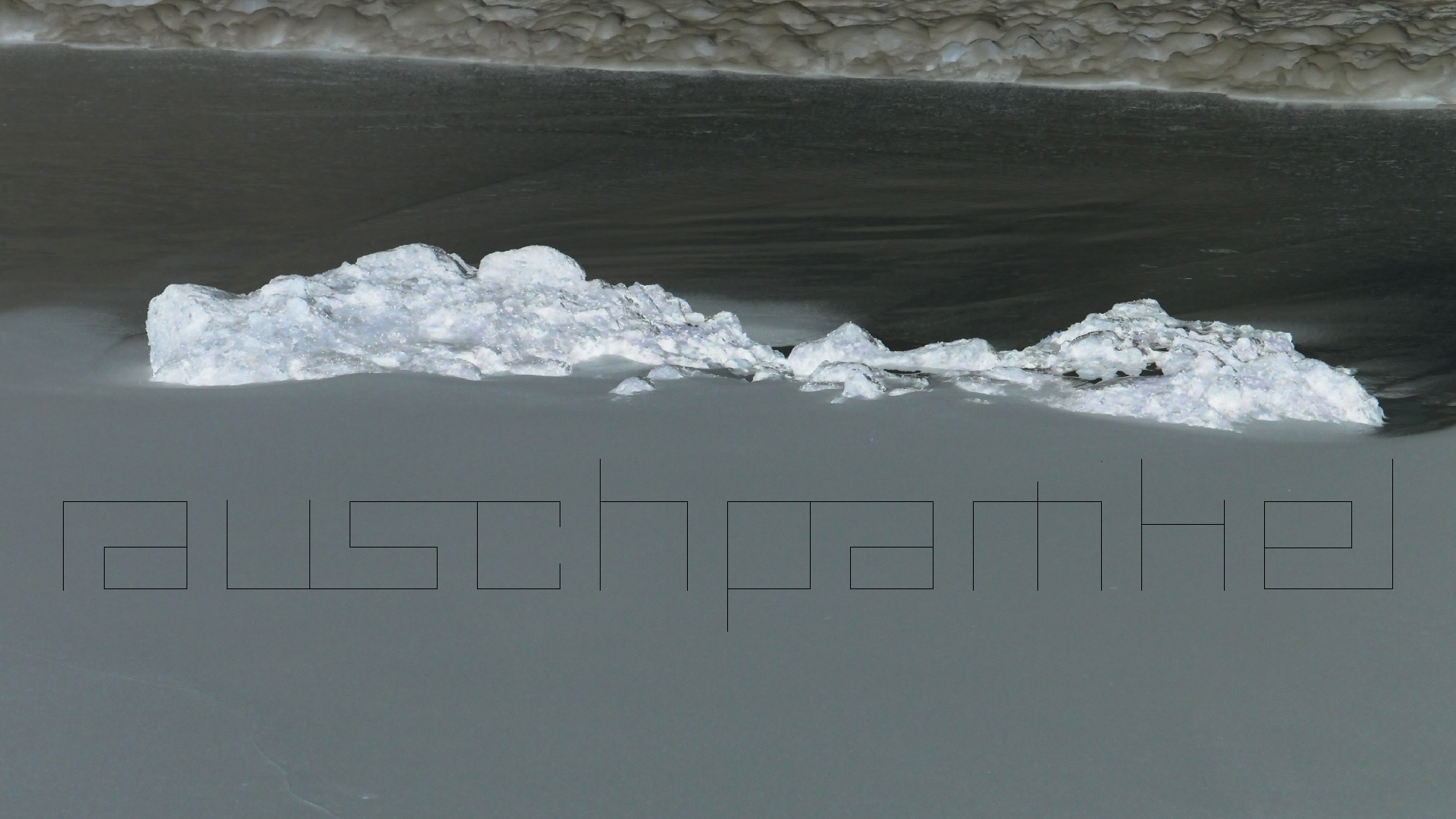 2022-04-25 Chicki Knipp (Foto)