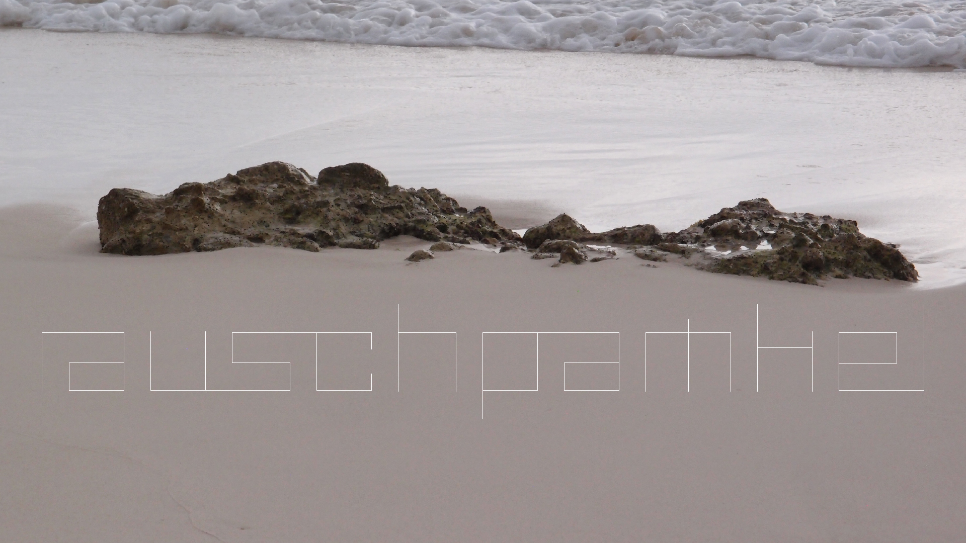 2022-04-25 Chicki Knipp (Foto)