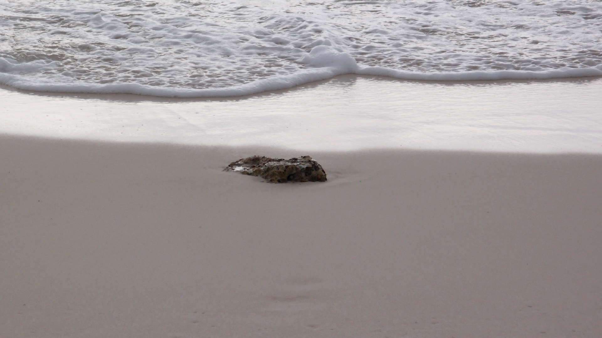 2022-04-25 Chicki Knipp (Foto)