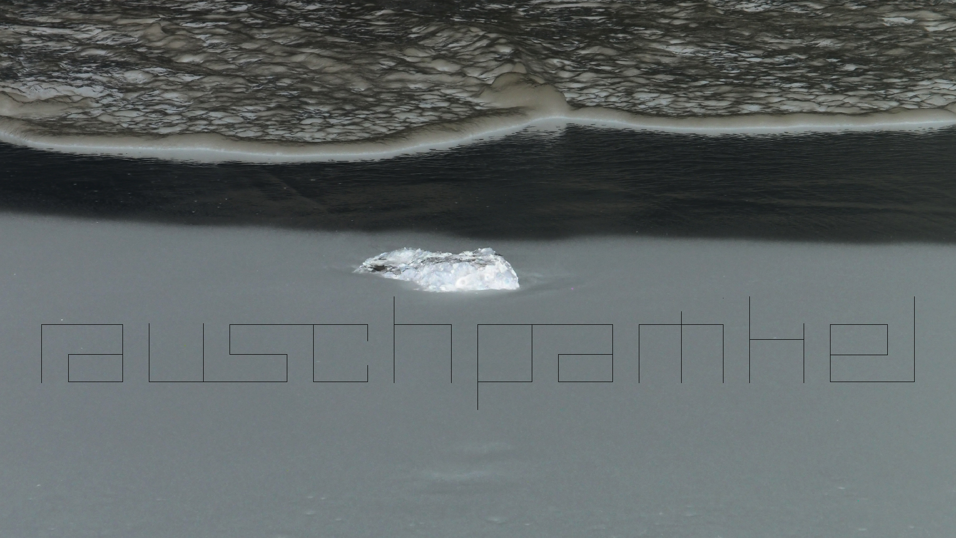 2022-04-25 Chicki Knipp (Foto)