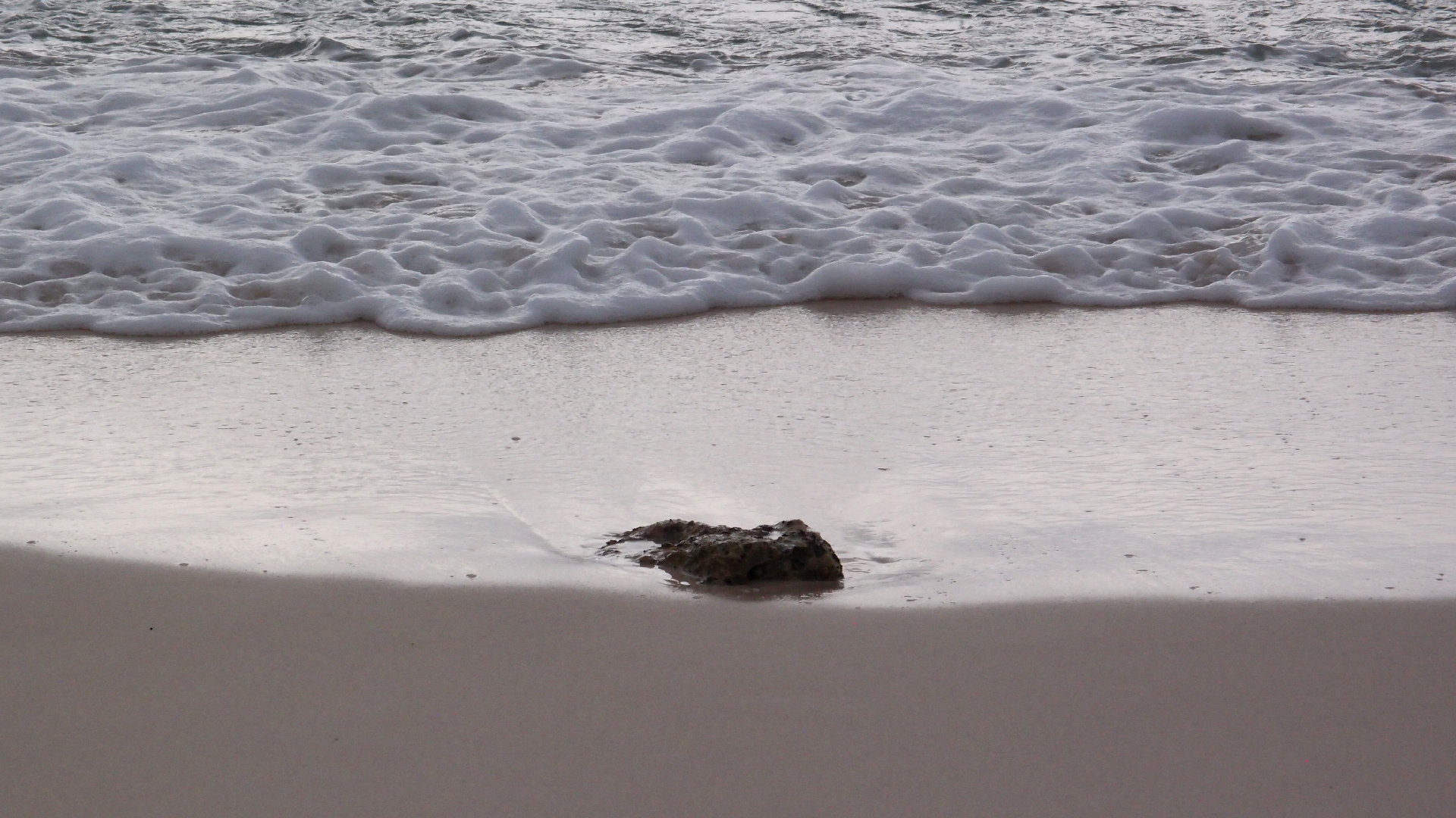 2022-04-25 Chicki Knipp (Foto)