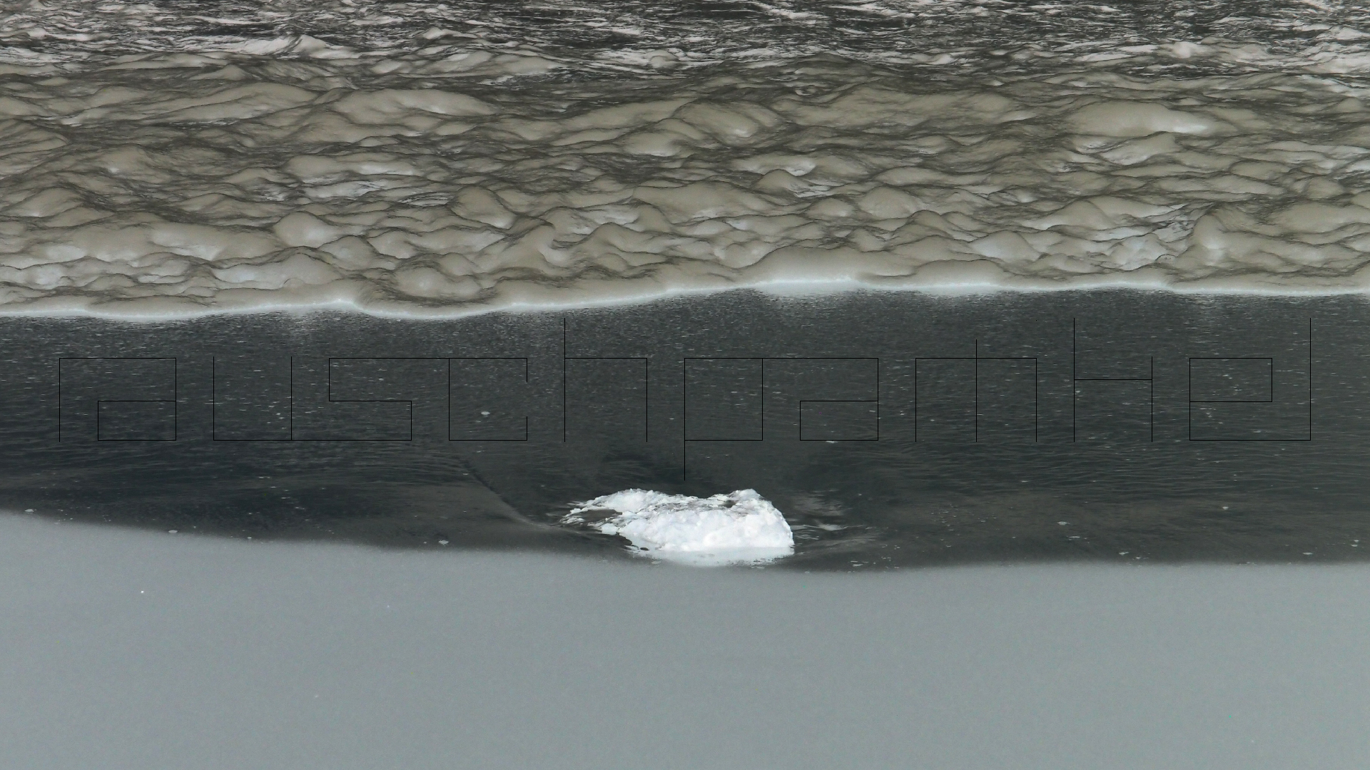 2022-04-25 Chicki Knipp (Foto)