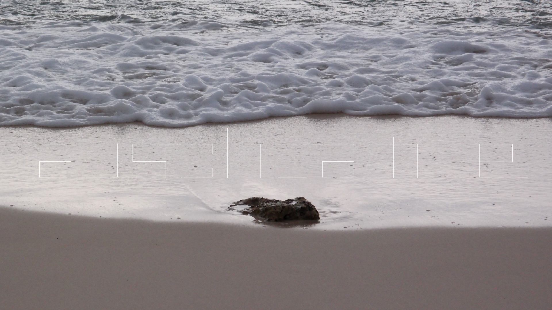 2022-04-25 Chicki Knipp (Foto)