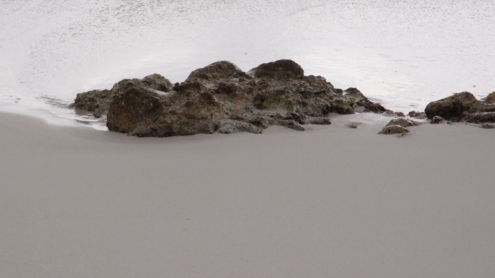 2022-04-25 Chicki Knipp (Foto)