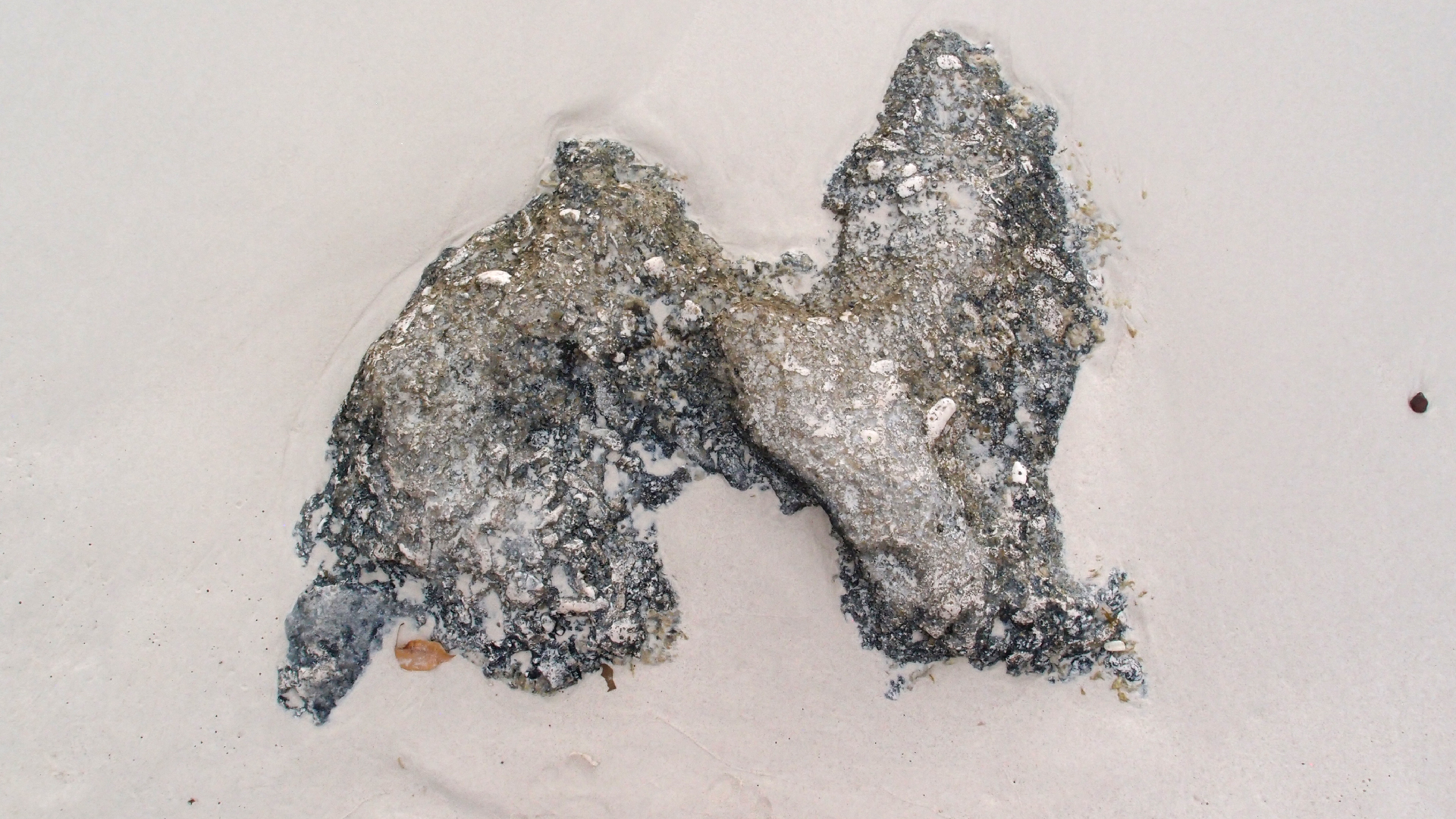 2022-04-25 Chicki Knipp (Foto)