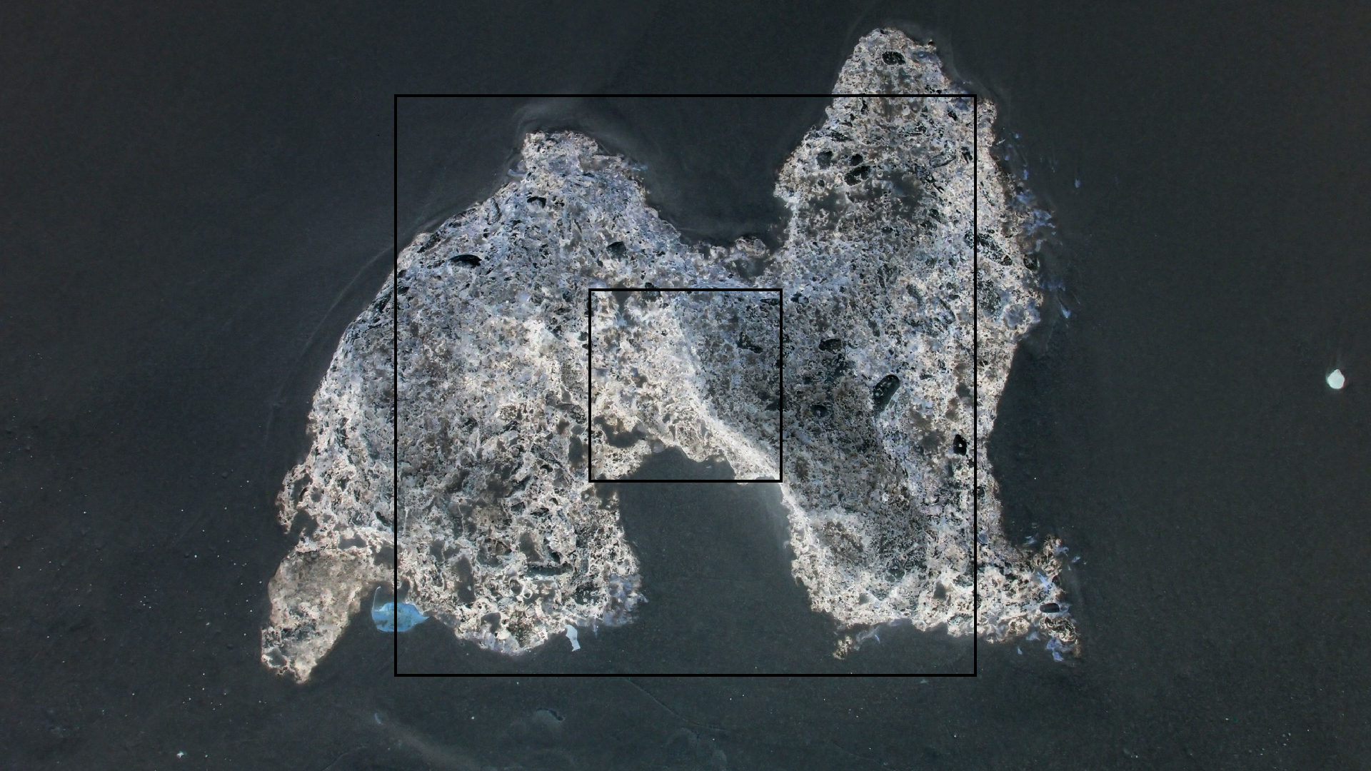 2022-04-25 Chicki Knipp (Foto)