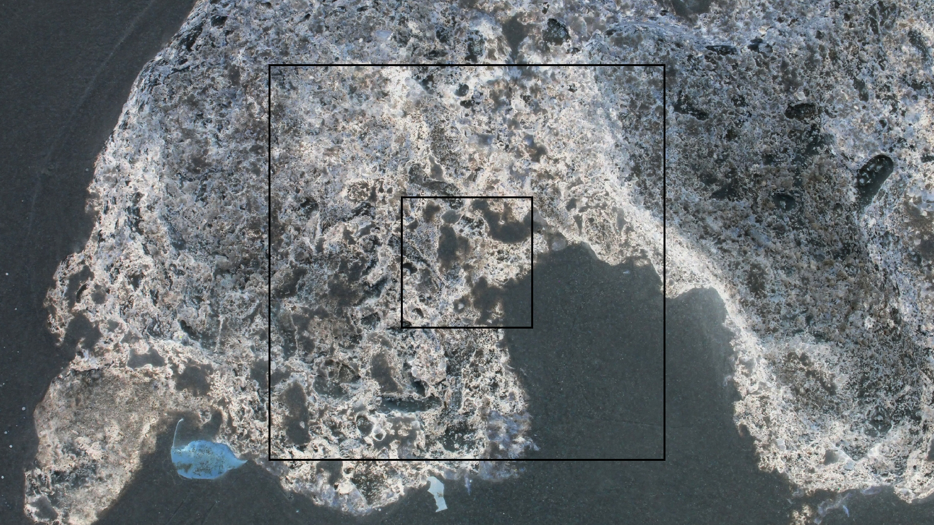 2022-04-25 Chicki Knipp (Foto)