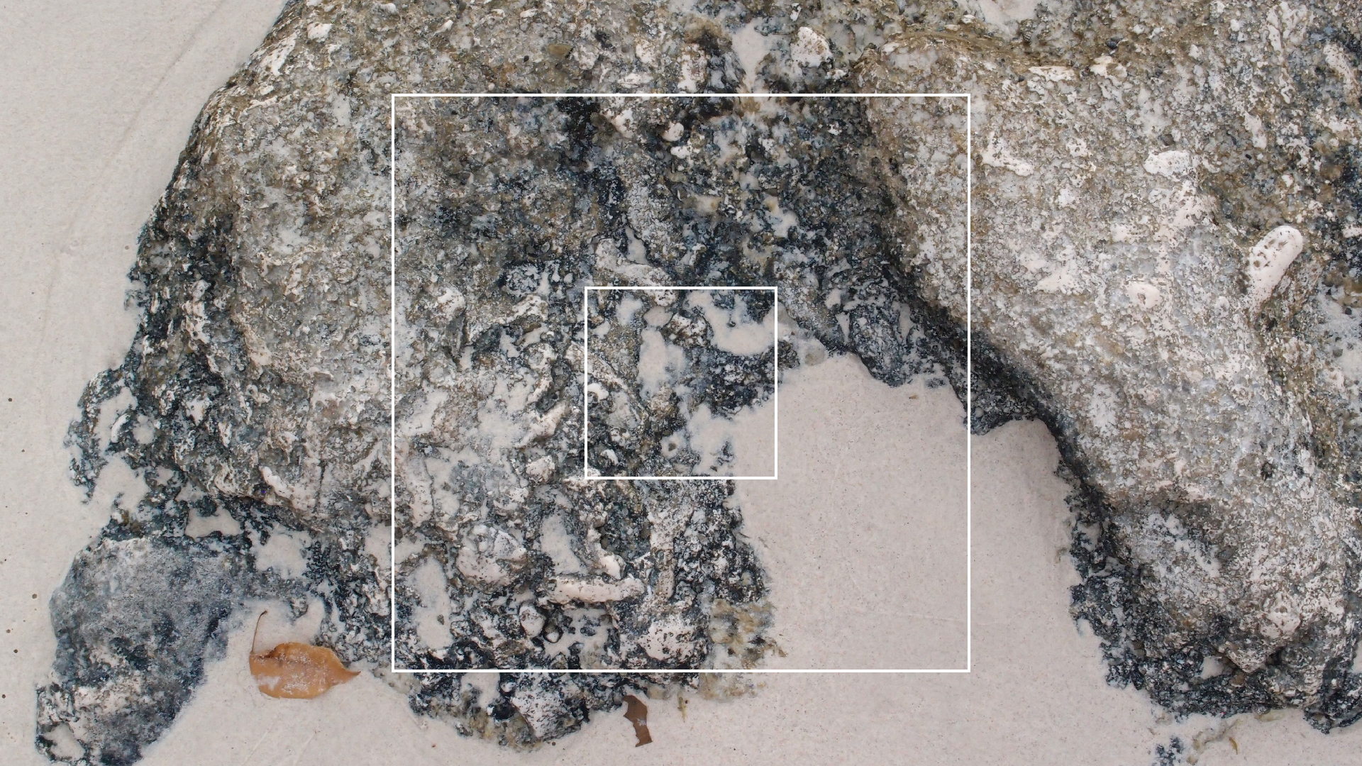 2022-04-25 Chicki Knipp (Foto)