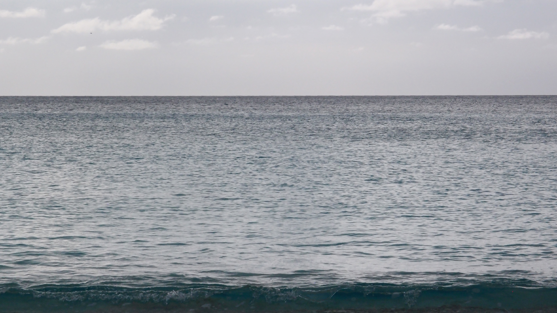 2022-04-25 Chicki Knipp (Foto)