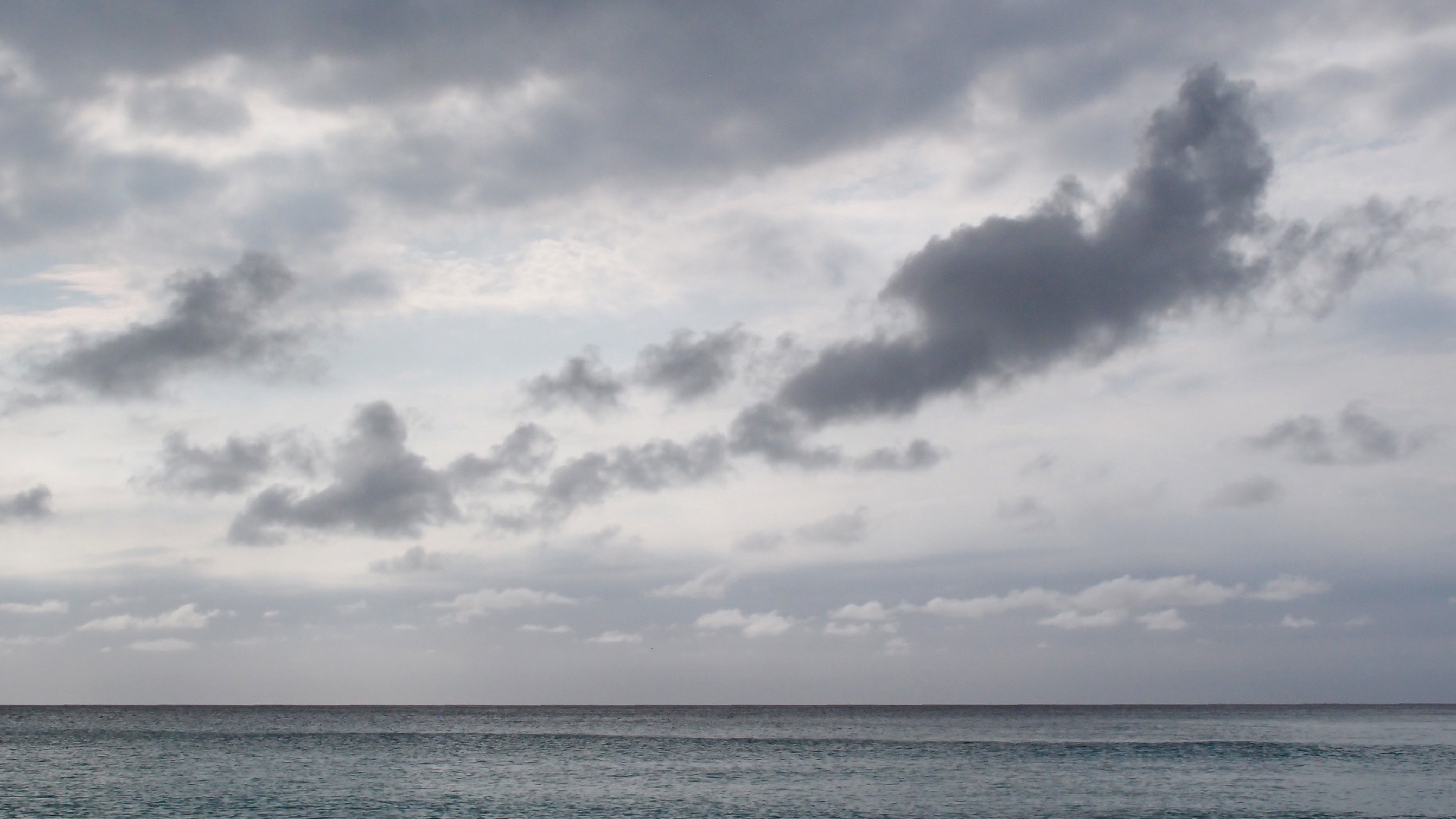 2022-04-25 Chicki Knipp (Foto)