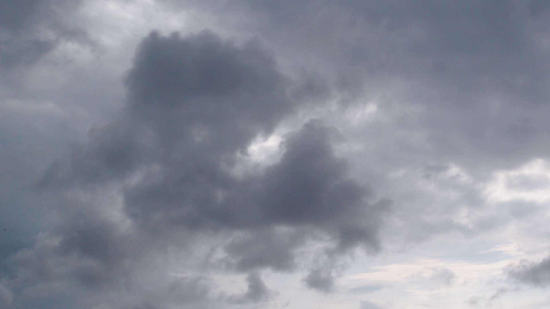 2022-04-25 Chicki Knipp (Foto)