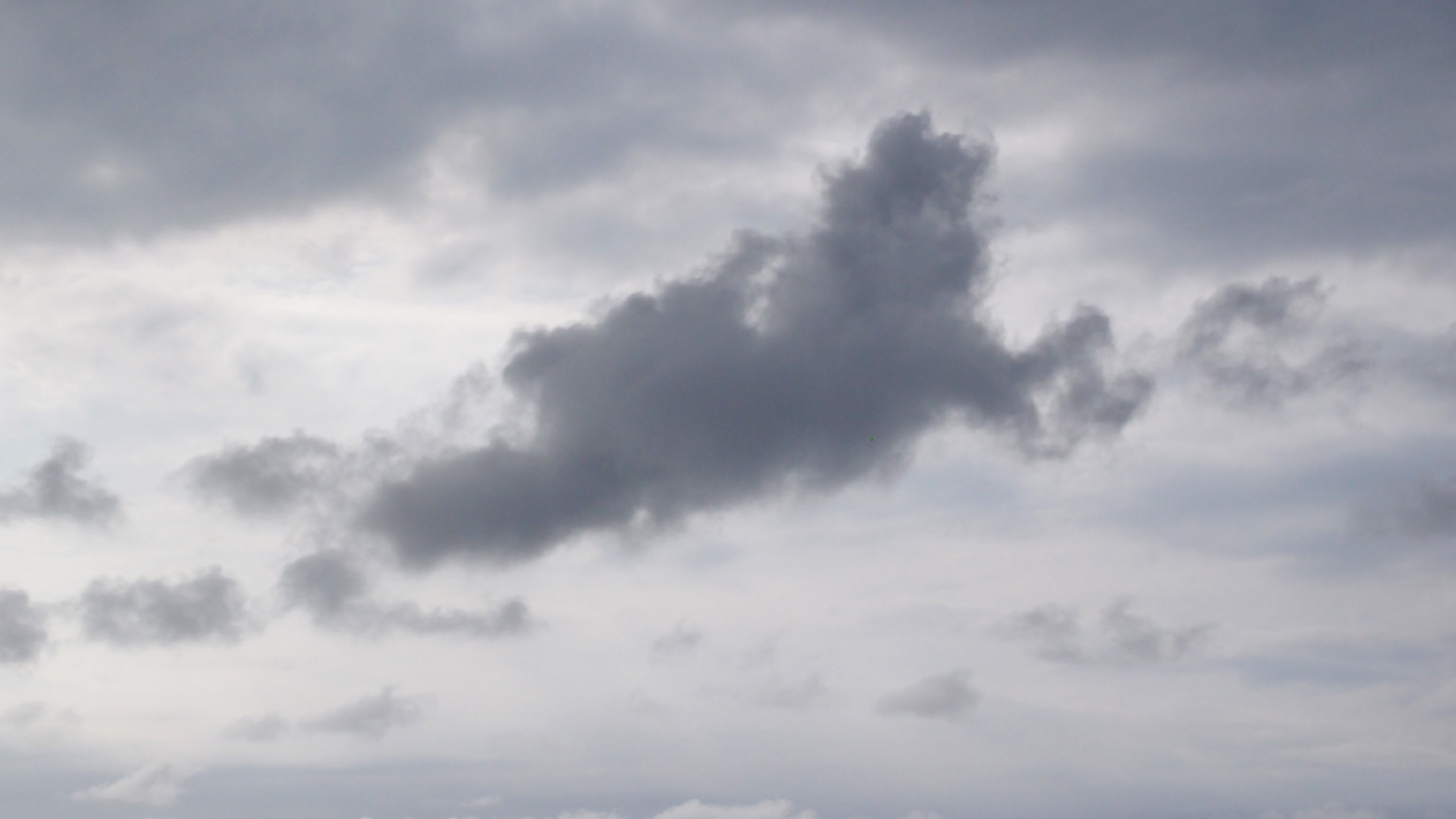 2022-04-25 Chicki Knipp (Foto)