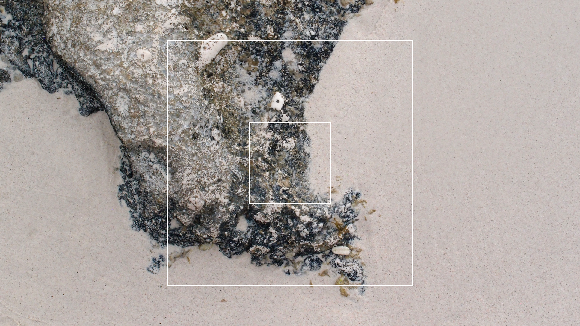 2022-04-25 Chicki Knipp (Foto)