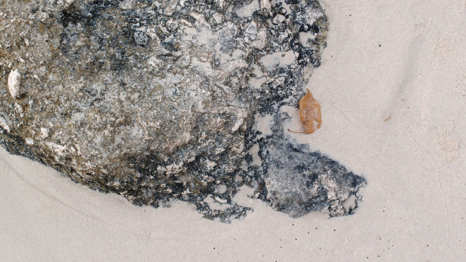 2022-04-25 Chicki Knipp (Foto)