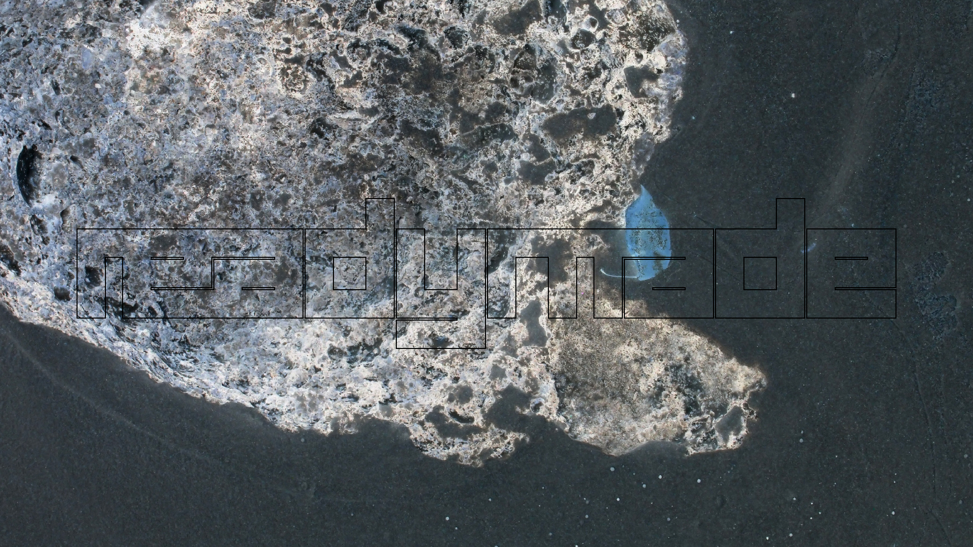 2022-04-25 Chicki Knipp (Foto)