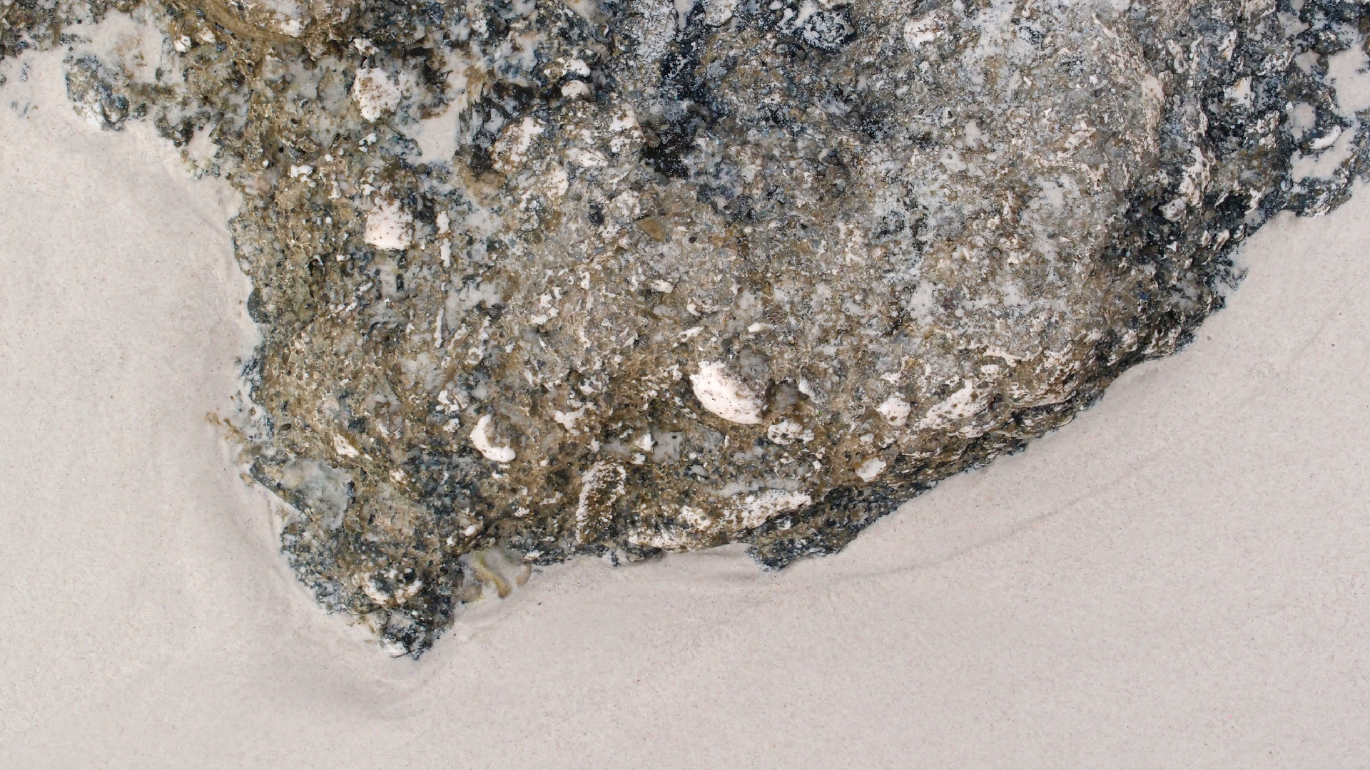 2022-04-25 Chicki Knipp (Foto)