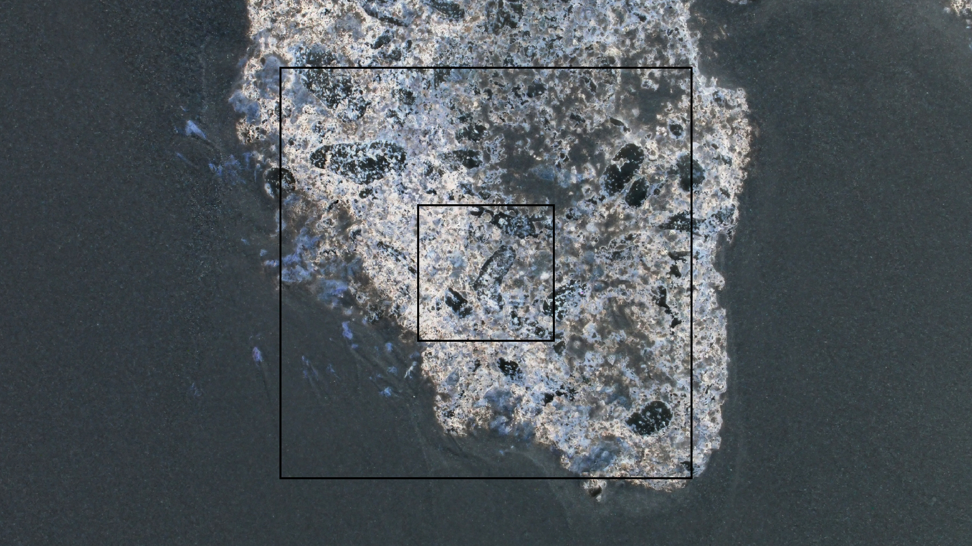 2022-04-25 Chicki Knipp (Foto)