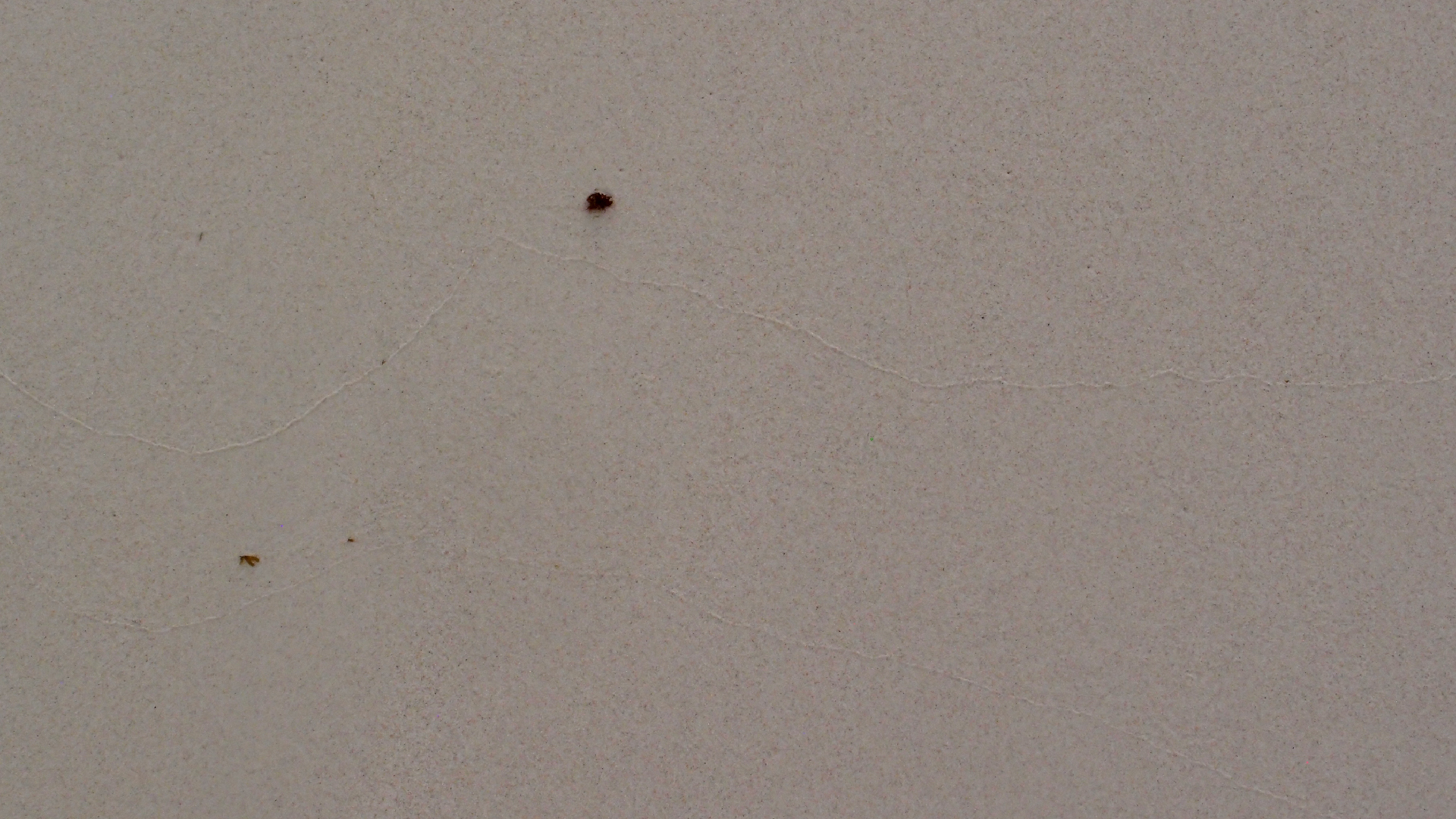 2022-04-25 Chicki Knipp (Foto)