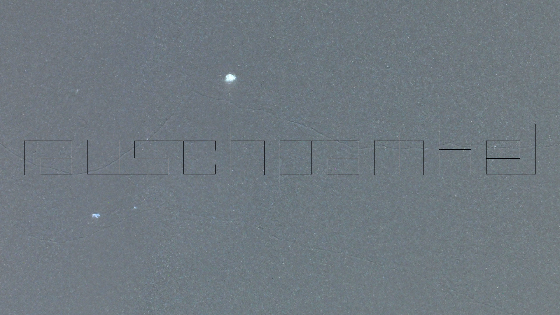 2022-04-25 Chicki Knipp (Foto)