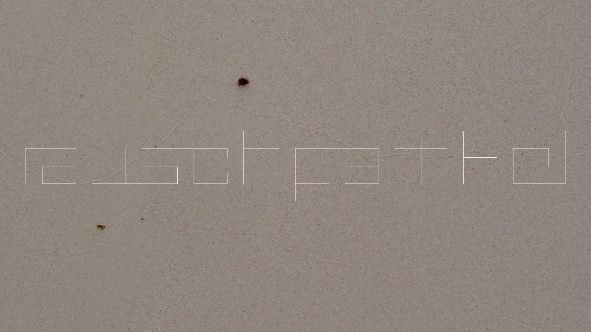 2022-04-25 Chicki Knipp (Foto)