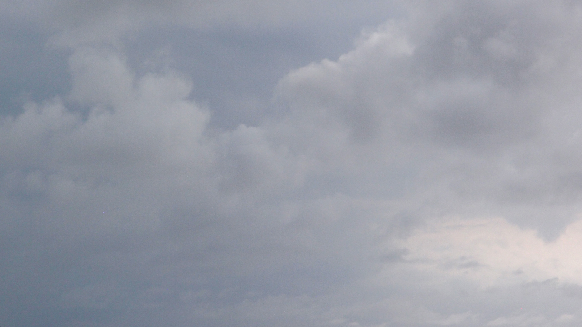 2022-04-25 Chicki Knipp (Foto)