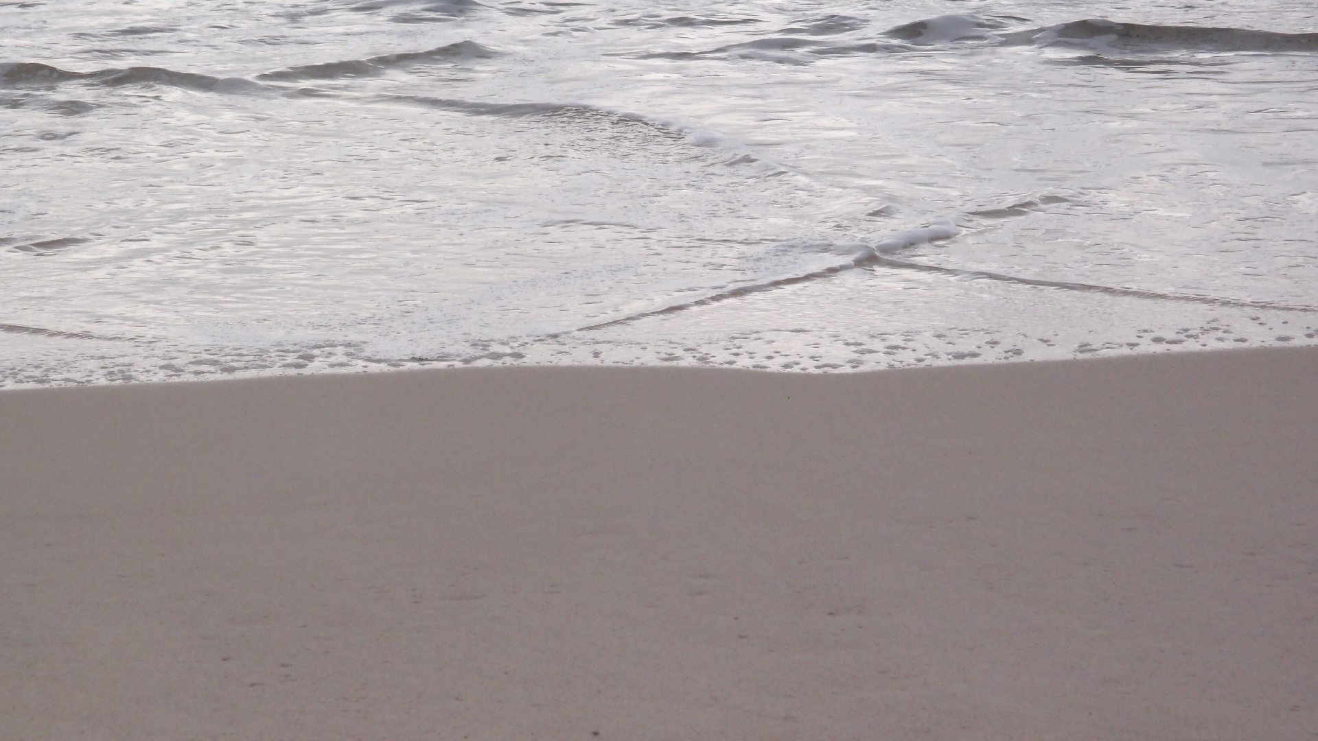 2022-04-25 Chicki Knipp (Foto)