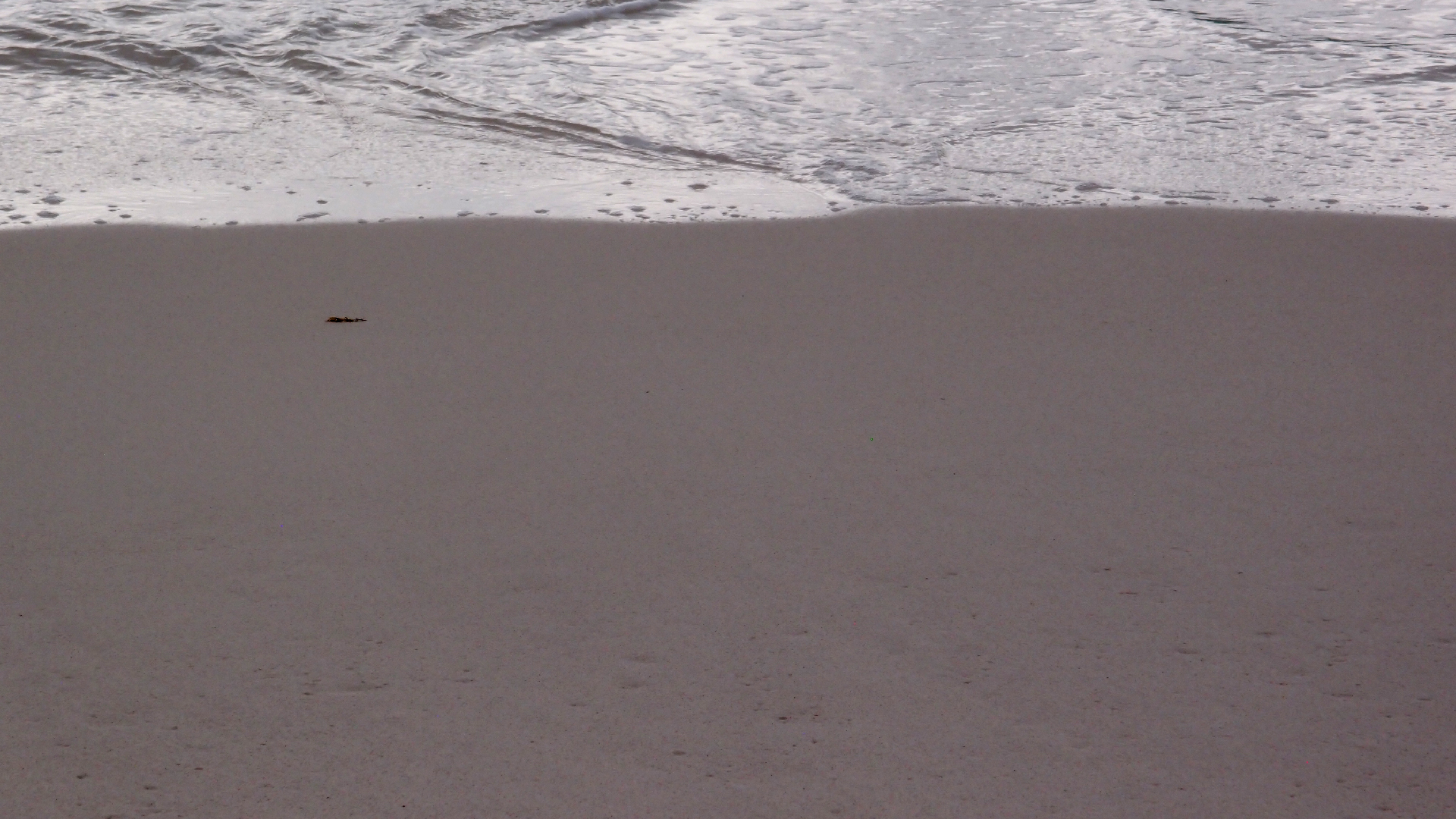 2022-04-25 Chicki Knipp (Foto)