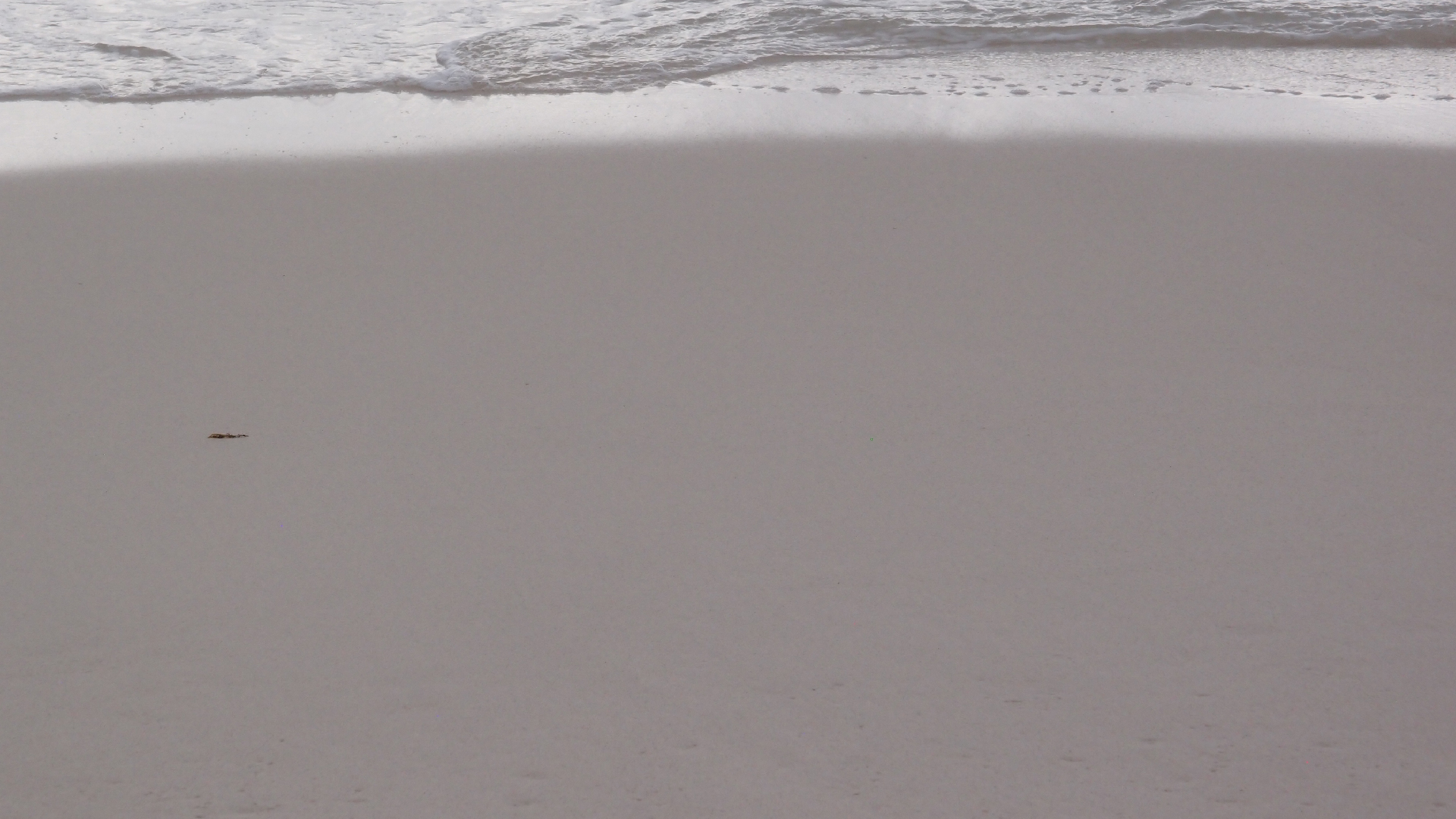 2022-04-25 Chicki Knipp (Foto)