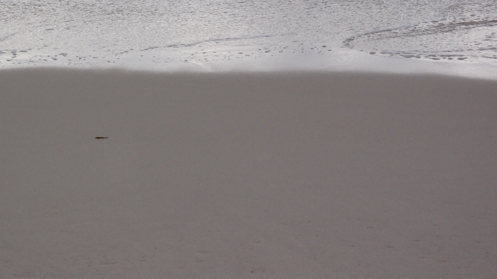 2022-04-25 Chicki Knipp (Foto)