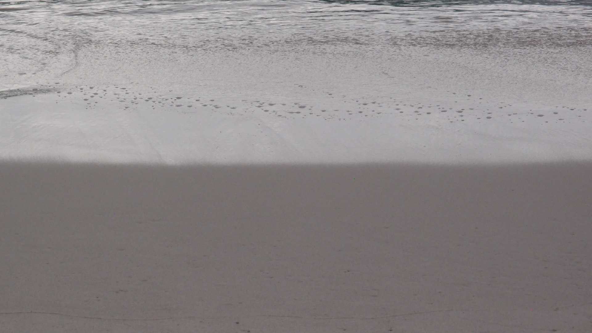 2022-04-25 Chicki Knipp (Foto)