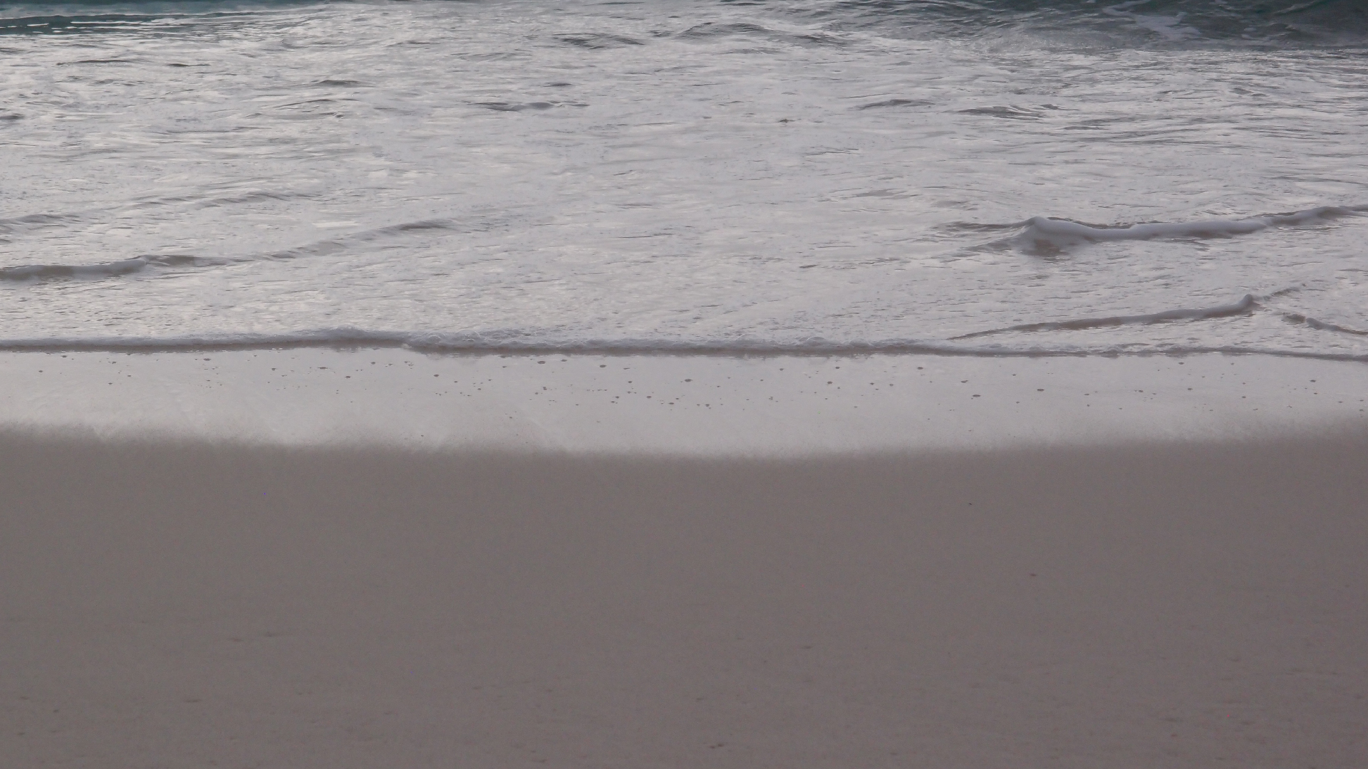 2022-04-25 Chicki Knipp (Foto)