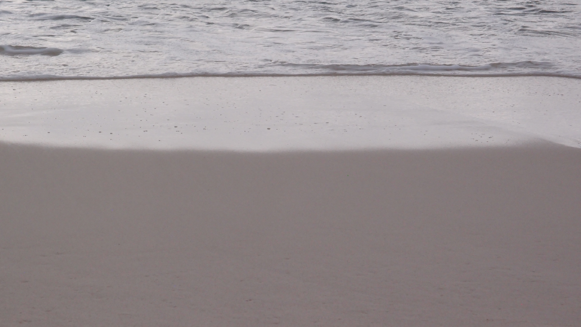 2022-04-25 Chicki Knipp (Foto)