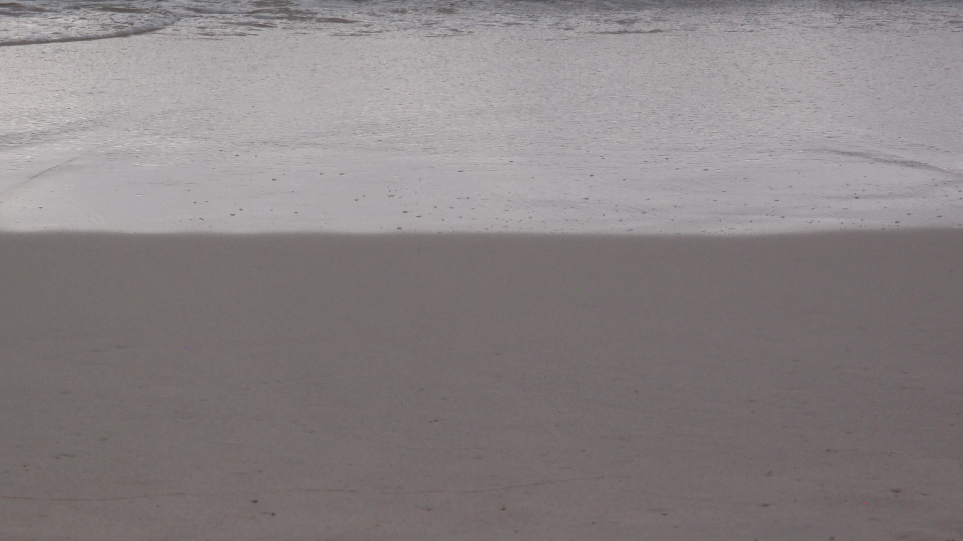 2022-04-25 Chicki Knipp (Foto)