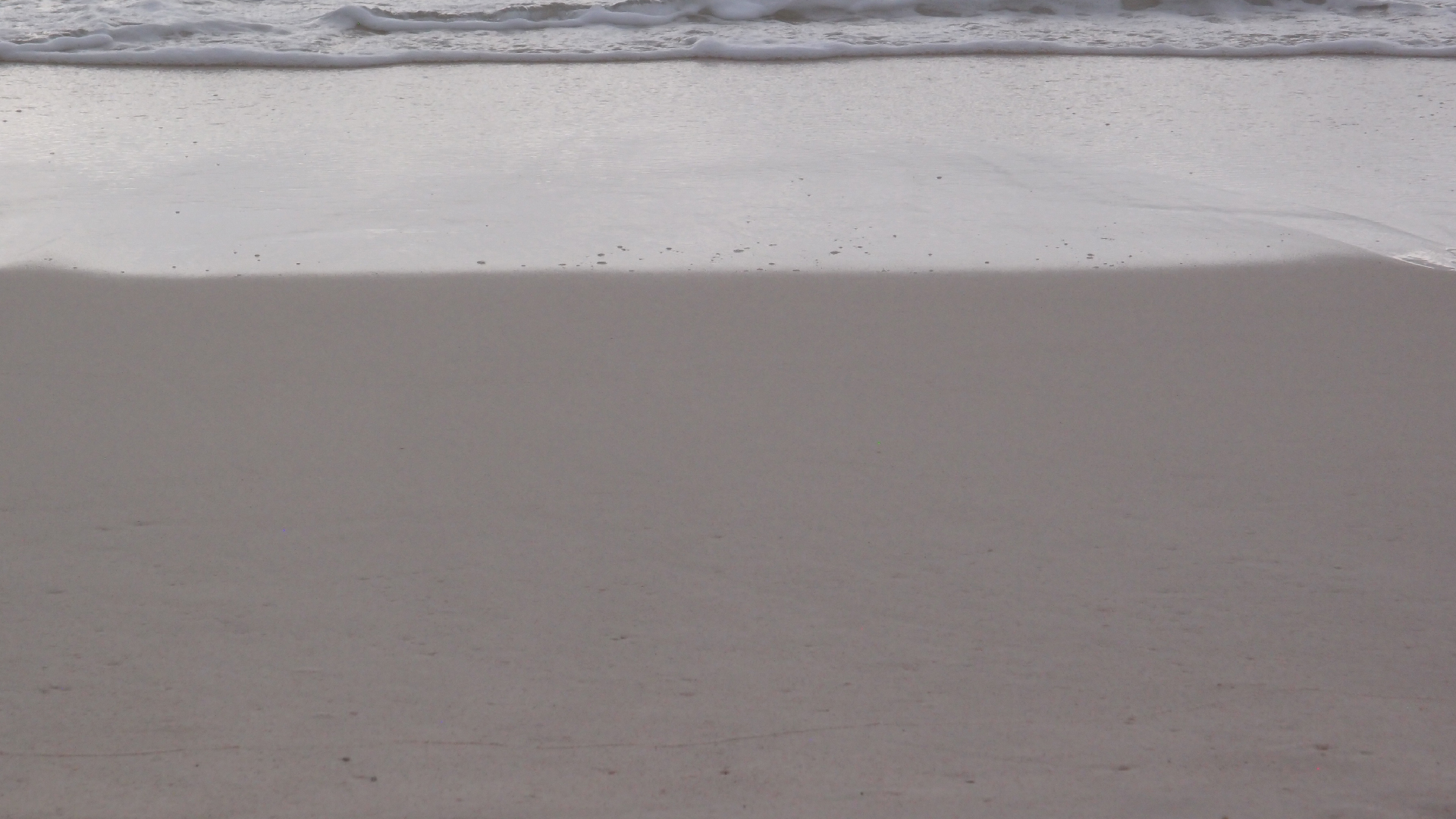 2022-04-25 Chicki Knipp (Foto)